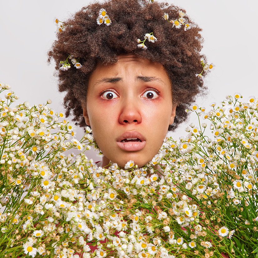 Puzzled nervous curly haired young woman surrounded by camomile has allergic reaction on wildflowers stares at camera has red swollen eyes poses against white background. Pollen allergy concept. Person with red eyes surrounded by flowers, illustrating skin sensitivity to allergens.